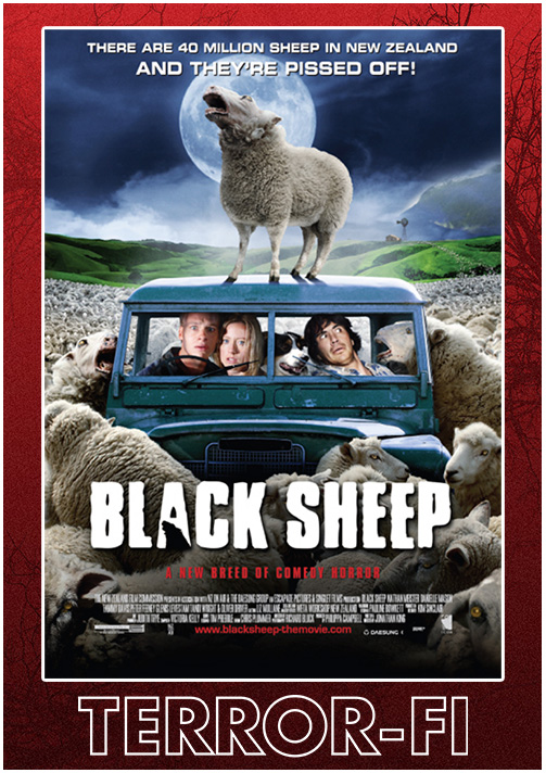 TFi - Black Sheep